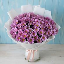 Букет цветов из:  Хризантемы #REPLACE_PRED# Кадый