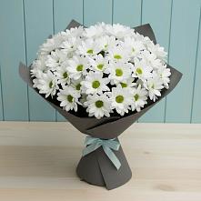 Букет цветов из:  Хризантемы #REPLACE_PRED# Кадый