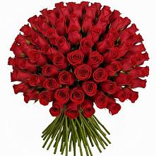 Букет Красные розы Чери Лав в Кадый