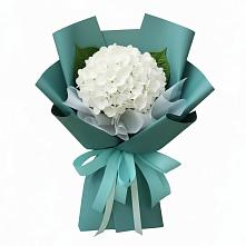 Букет цветов из:  Гортензия #REPLACE_PRED# Кадый